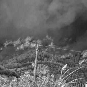 На грецькому острові Евбея триває гасіння лісових пожеж, вогонь поки не взяли під контроль