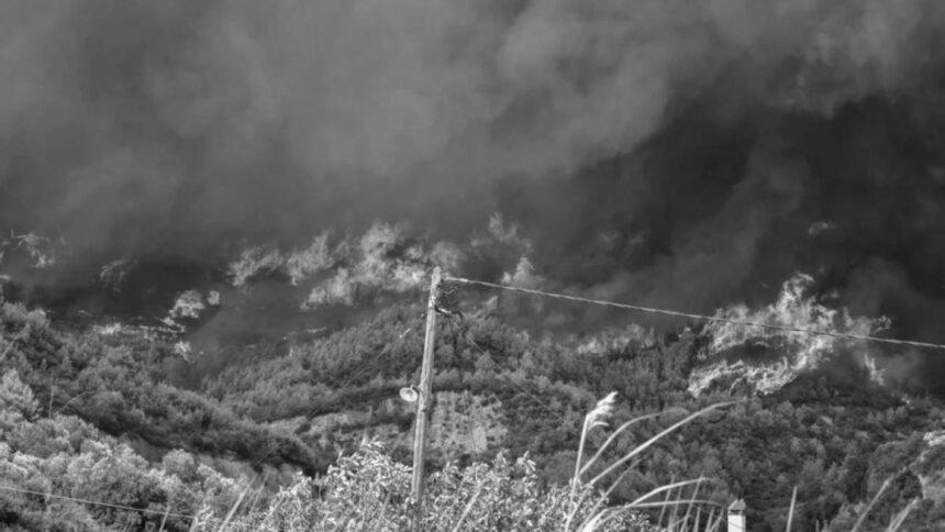 На грецькому острові Евбея триває гасіння лісових пожеж, вогонь поки не взяли під контроль