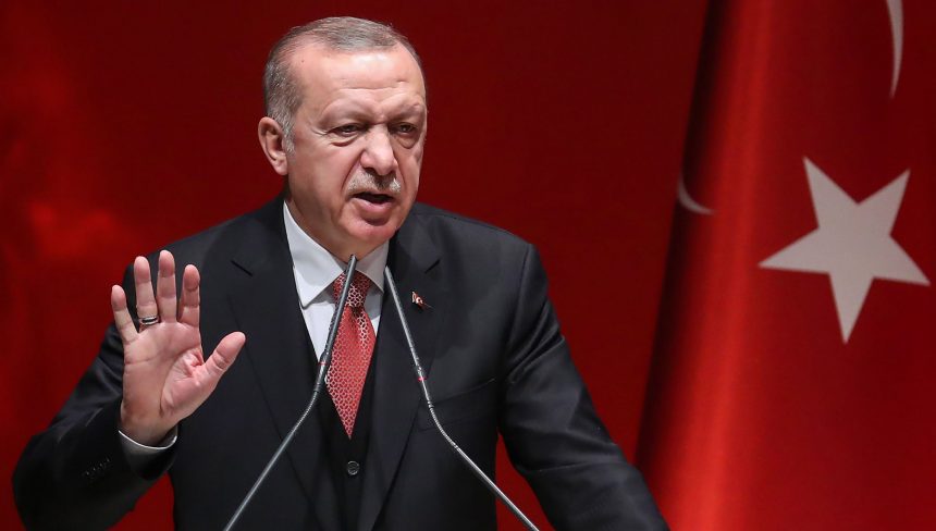 Майже всі пожежі в Туреччині локалізували: Ердоган подякував Зеленському