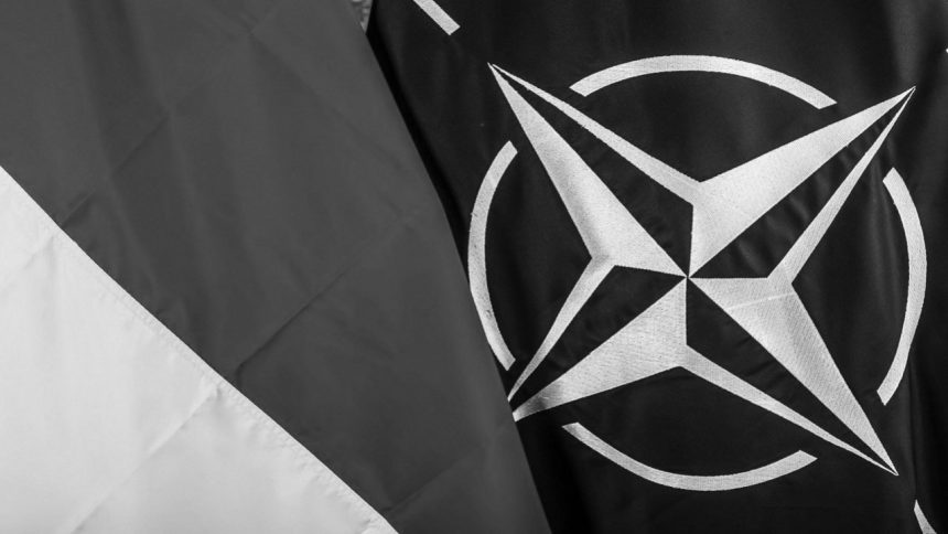 Україна повинна вимагати від США статус союзника поза НАТО – експерт