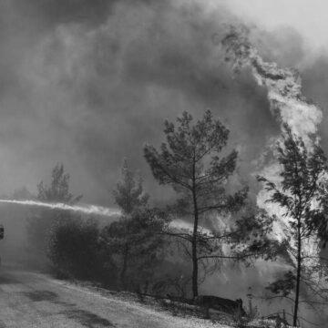 У Туреччині спалахнула нова лісова пожежа. Цього разу на острові біля Стамбула