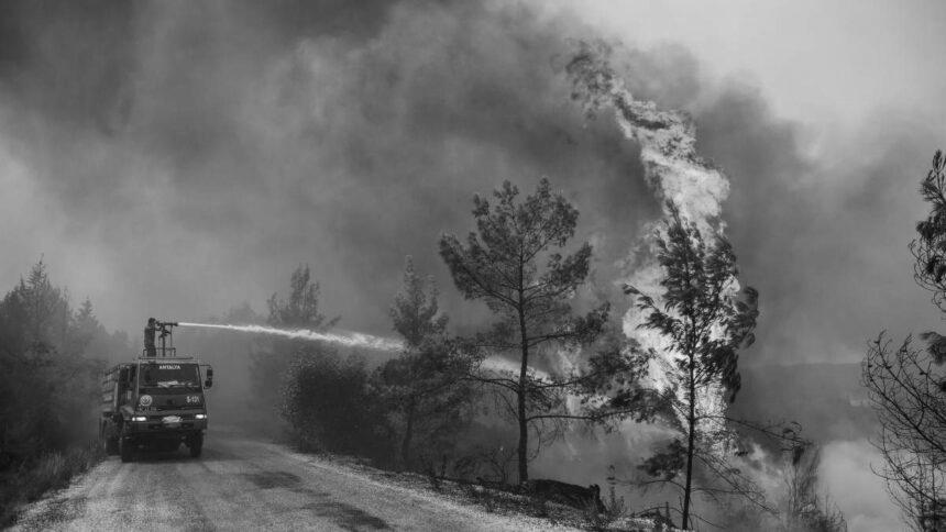 У Туреччині спалахнула нова лісова пожежа. Цього разу на острові біля Стамбула