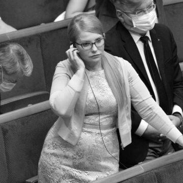 Законопроєкт про олігархів це фейк і профанація, – Тимошенко