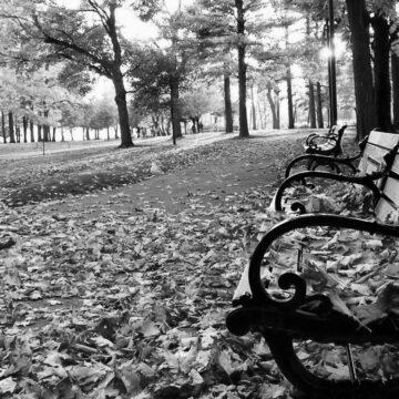 Україну в неділю прогріє до +25°