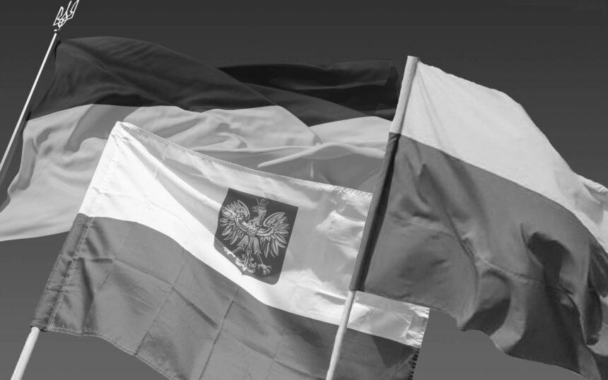 Не тільки НАТО і ЄС. Як і навіщо Україна створює альянси з найближчими сусідами