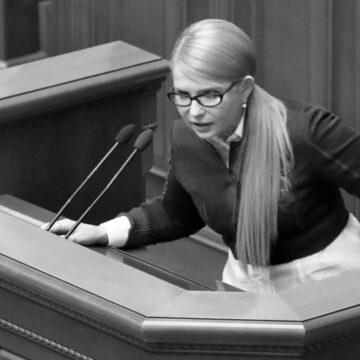 “Батьківщина” звернеться до КСУ щодо чергового “земельного” закону