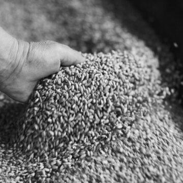 Україна та Польща домовилися знайти рішення щодо теми експорту зерна