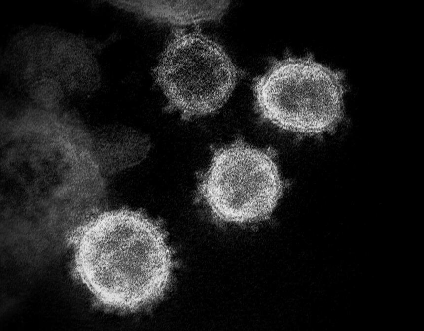 В Україні заразилися новим варіантом коронавірусу
