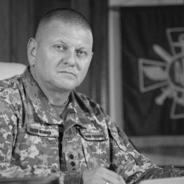 Звільнення Залужного: дали офіційну відповідь