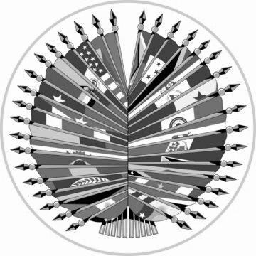 “Тільки в єдності ми можемо це зробити”, – Зеленський звернувся до Організації американських держав