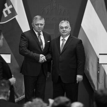 Угорщина і Словаччина висувають претензії до України