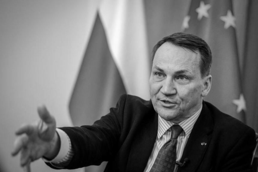“Це як говорити зі стіною”: Сікорський розкритикував позицію Угорщини щодо України