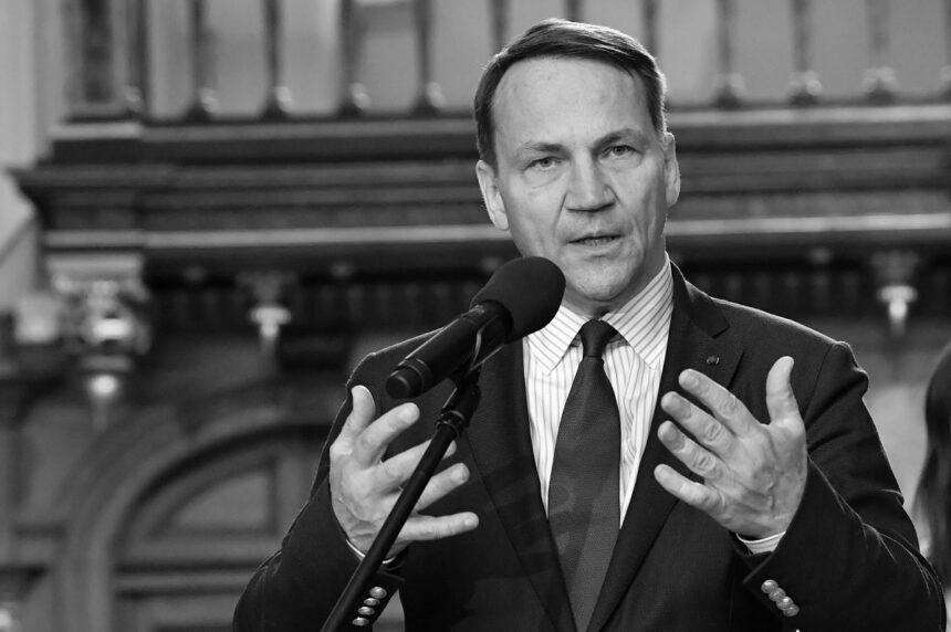 Польща анонсувала нові пакети військової допомоги Україні: щонайменше три до кінця 2025 року