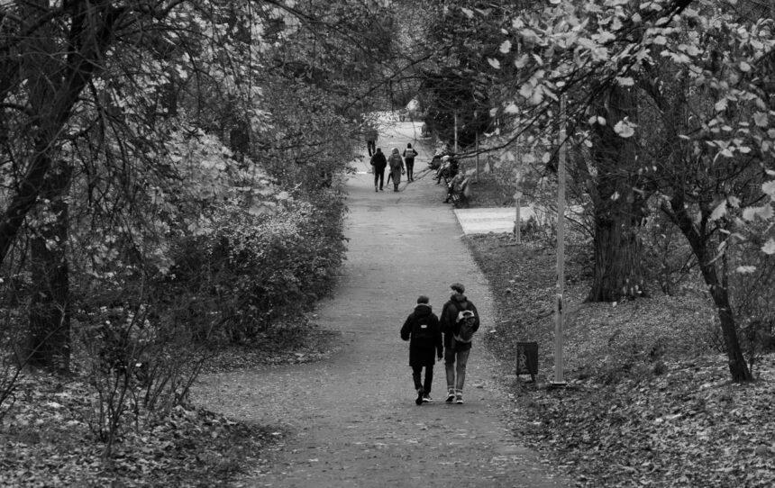 Початок зими буде теплим: яку погоду очікувати в Україні наступного тижня (карти)