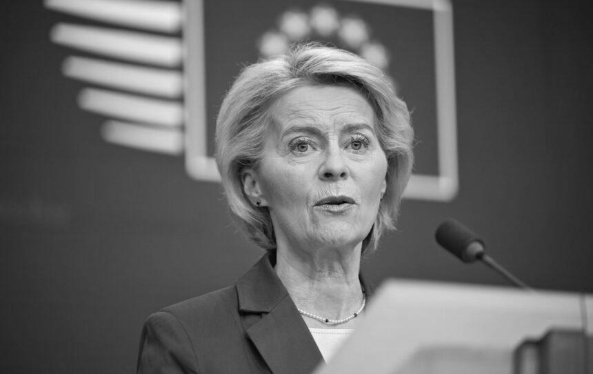 “Досягнуто хороший прогрес”: глава ЄК про переговори Зеленського, Трампа і лідерів Європи