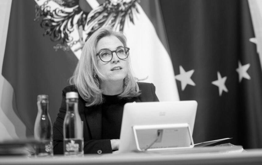 “Суверенітет і територіальна цілісність”: у МЗС Австрії назвали умови для стійкого миру в Україні