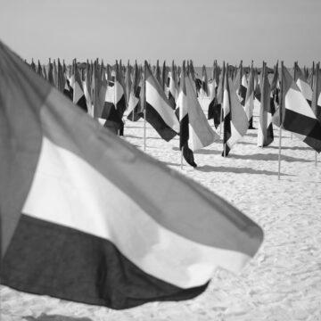 ОАЕ пообіцяли долучитись до оборонної місії США в Ормузькій протоці