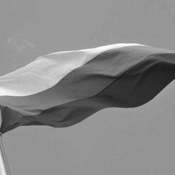 У Болгарії оголосили остаточні результати парламентських виборів