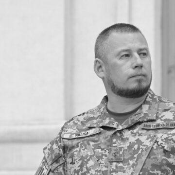 Паліса розкрив перевагу України над РФ в ударних дронах Паліса розкрив перевагу України над РФ в ударних дронах