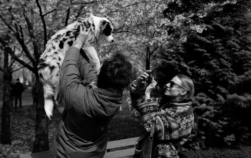 Погода суттєво не зміниться, але трохи потеплішає: прогноз в Україні на тиждень (карти) Погода суттєво не зміниться, але трохи потеплішає: прогноз в Україні на тиждень (карти)