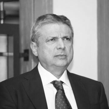 Лісовий масив на фінішній прямій: петицію про повернення землі вже підтримали понад половина мешканців — залишилось 3000 підписів