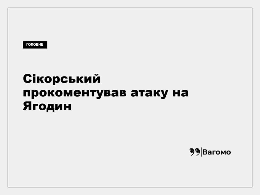 Радослав Сікорський на брифінгу в Києві